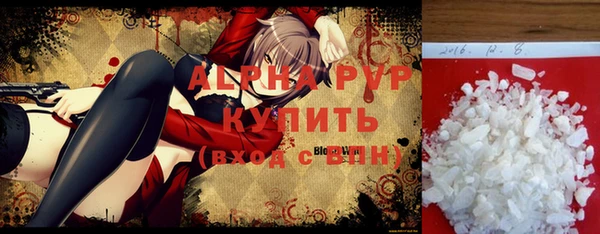 прущие грибы Богданович
