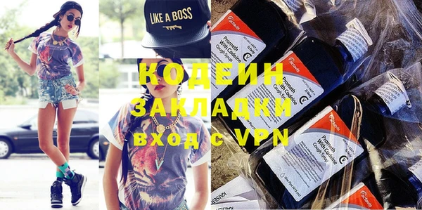 прущие грибы Богданович
