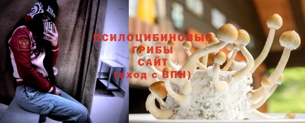 экстази Богородск