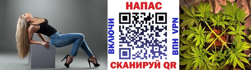 МАРИХУАНА план  дарнет шоп  Ершов 